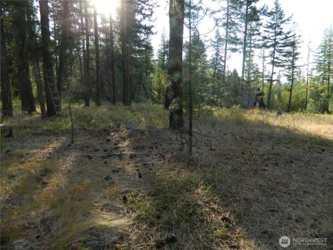1111 Tbd Rone Road Tonasket WA 98855