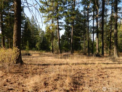 1111 Tbd Rone Road Tonasket WA 98855