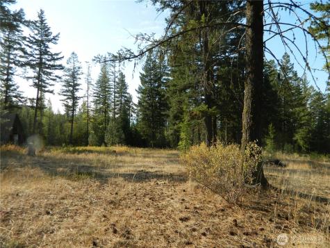 1111 Tbd Rone Road Tonasket WA 98855