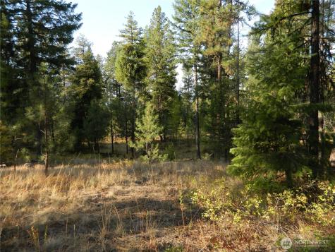 1111 Tbd Rone Road Tonasket WA 98855
