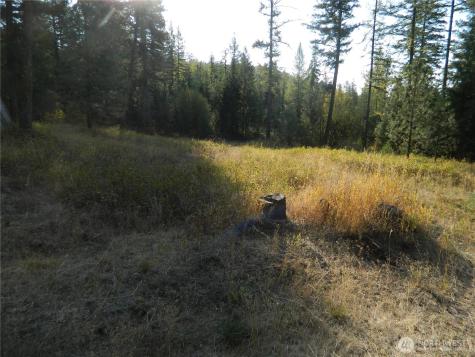 1111 Tbd Rone Road Tonasket WA 98855