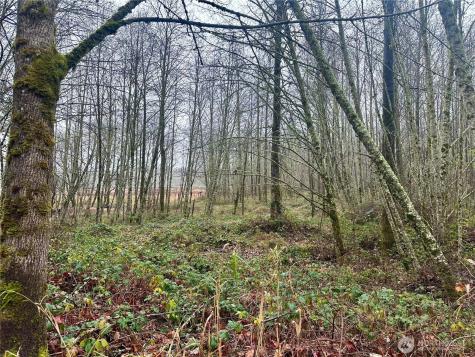 1230 Silverbrook White Pass WA 98937