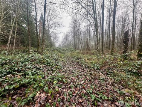 1230 Silverbrook Road White Pass WA 98937