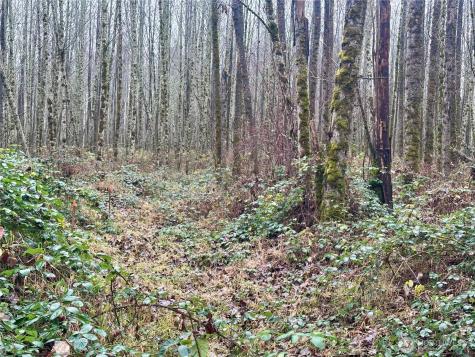 1230 Silverbrook Road White Pass WA 98937