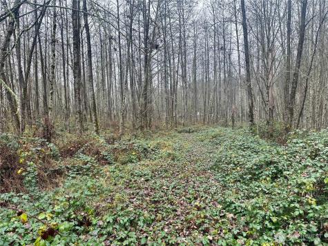 1230 Silverbrook Road White Pass WA 98937