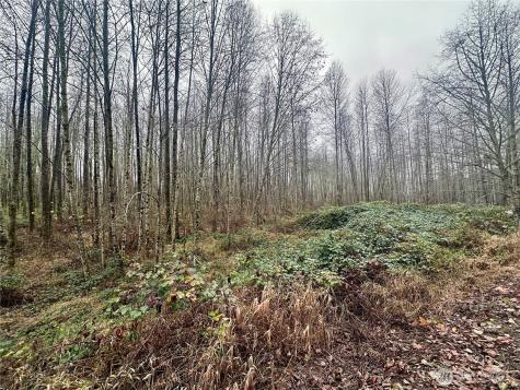 1230 Silverbrook Road White Pass WA 98937