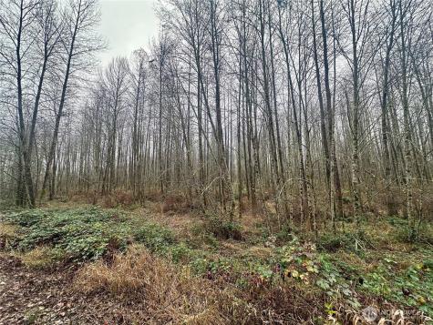 1230 Silverbrook Road White Pass WA 98937