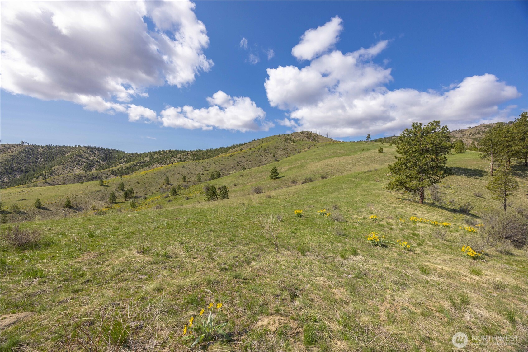 1 Bear Mountain Road Chelan WA 98816