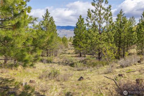 1 Bear Mountain Road Chelan WA 98816