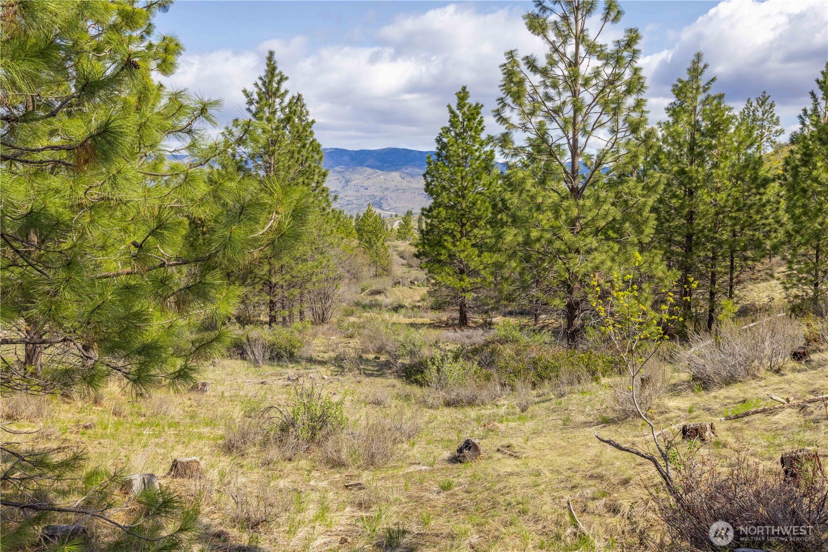 1 Bear Mountain Road Chelan WA 98816