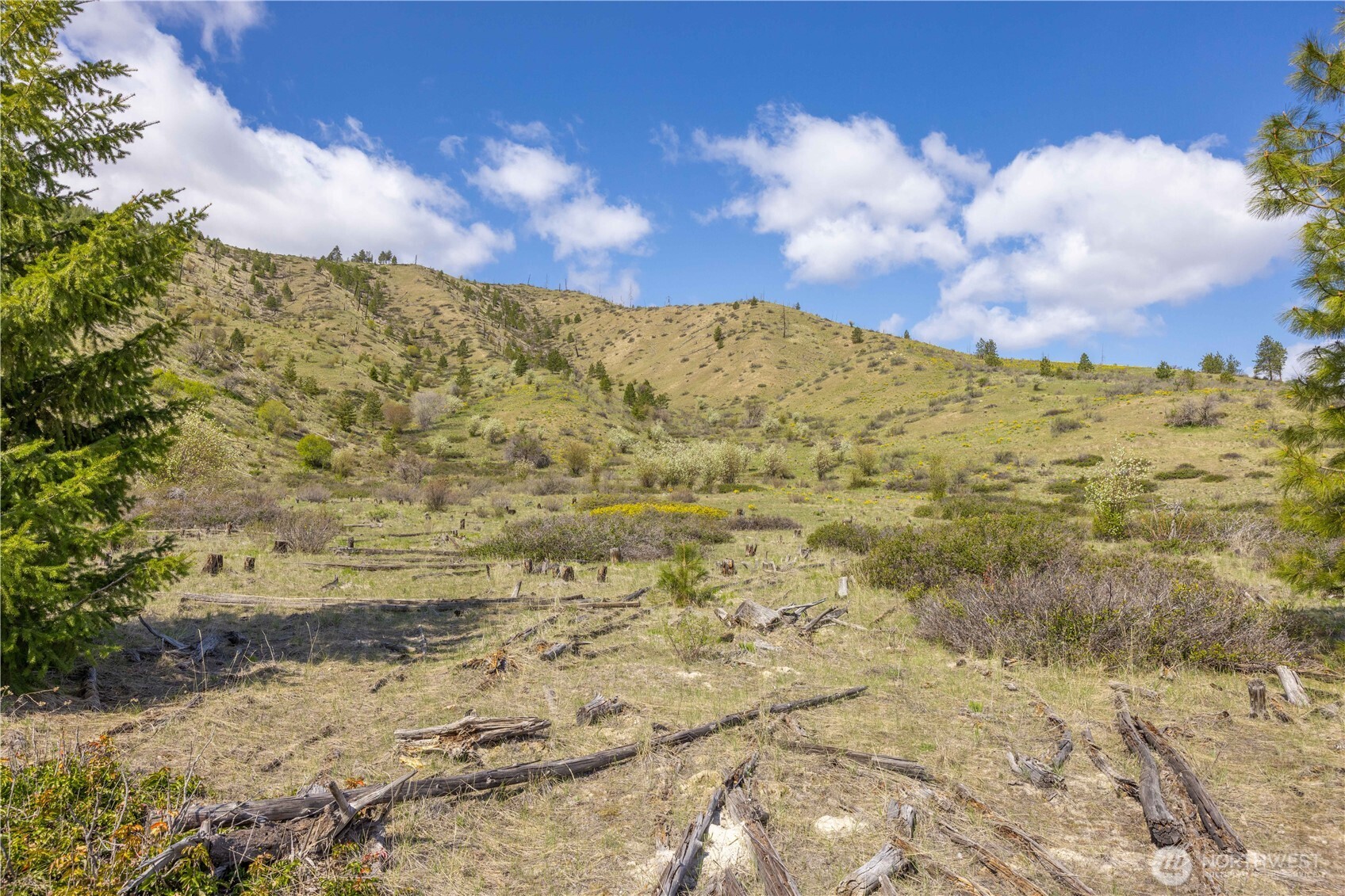 1 Bear Mountain Road Chelan WA 98816