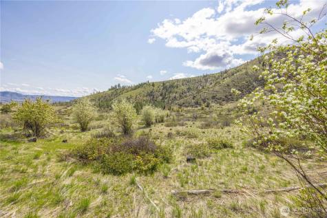 1 Bear Mountain Road Chelan WA 98816