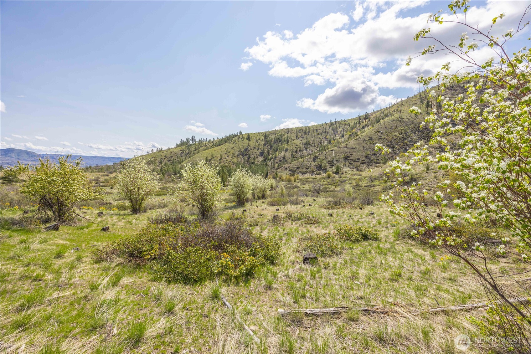 1 Bear Mountain Road Chelan WA 98816