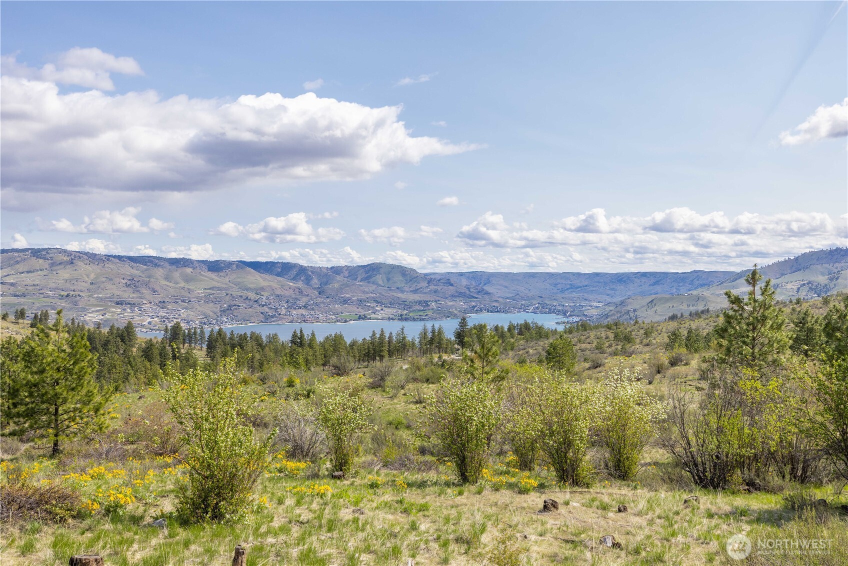 1 Bear Mountain Road Chelan WA 98816