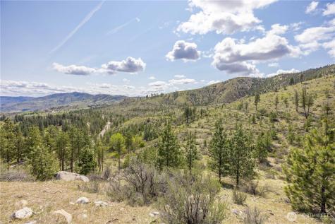 1 Bear Mountain Road Chelan WA 98816