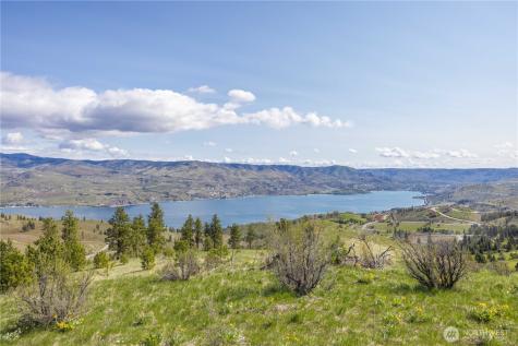 1 Bear Mountain Road Chelan WA 98816