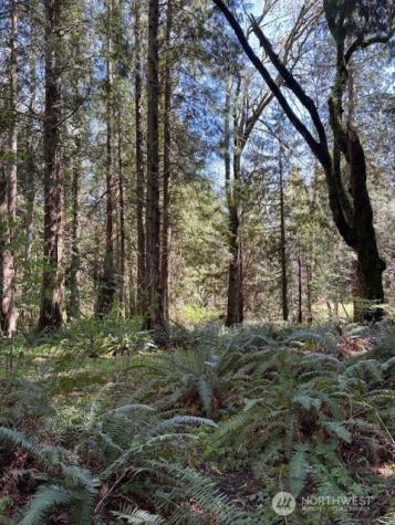 16230 Agate Pass Road Bainbridge Island WA 98110
