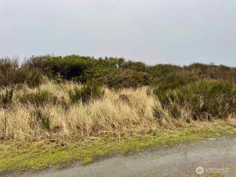 0 Dune Crest Drive Westport WA 98595