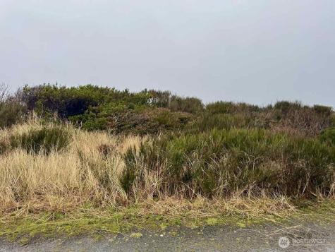 0 Dune Crest Drive Westport WA 98595