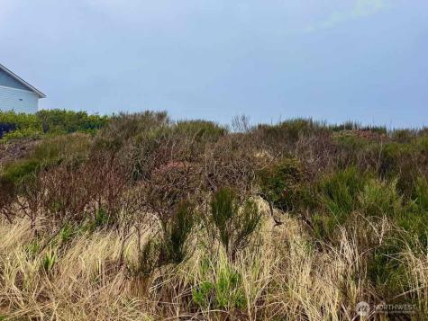 0 Dune Crest Drive Westport WA 98595