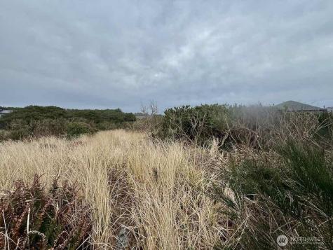 0 Dune Crest Drive Westport WA 98595
