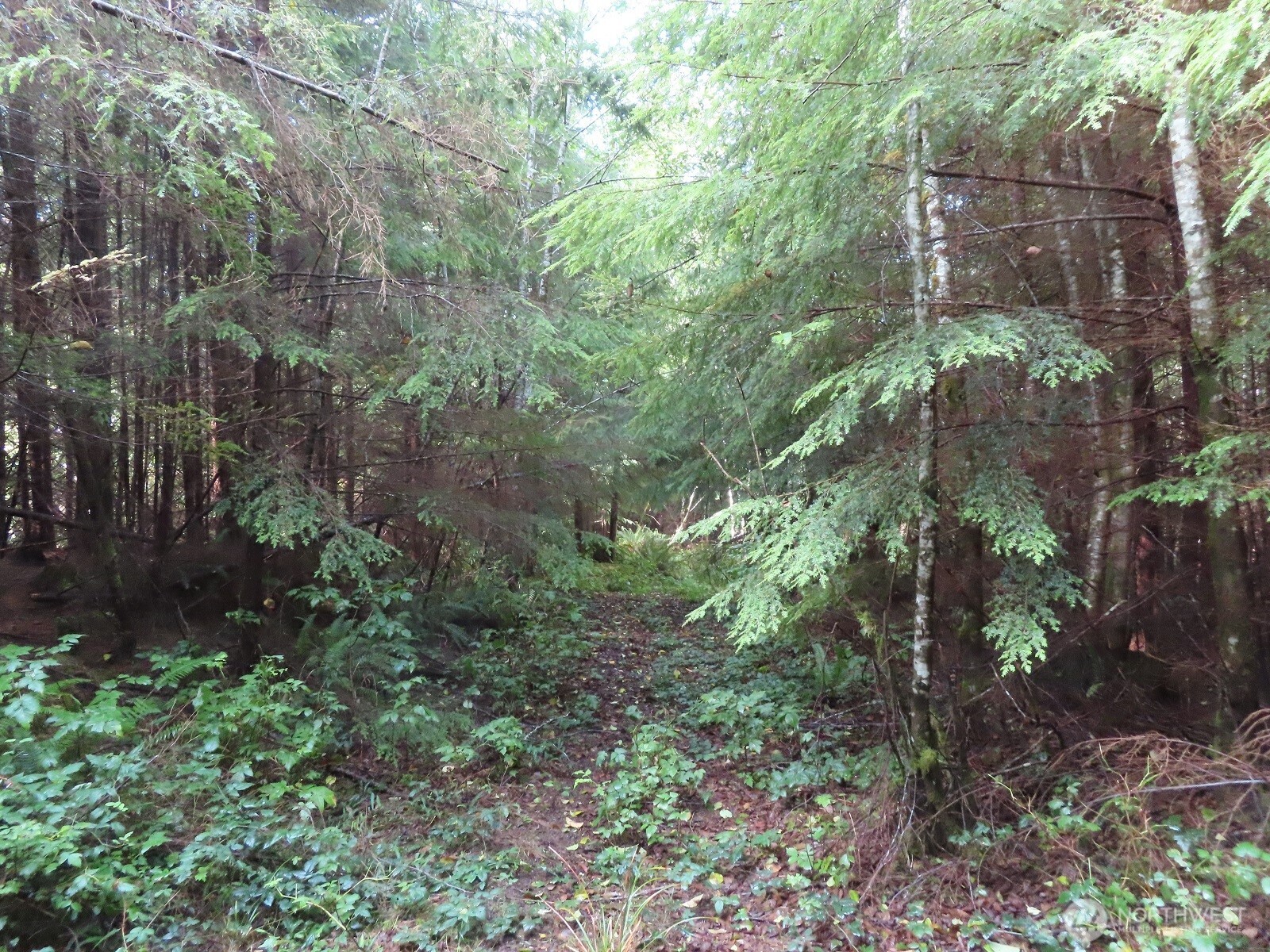 0 State Route 101 South Bend WA 98596