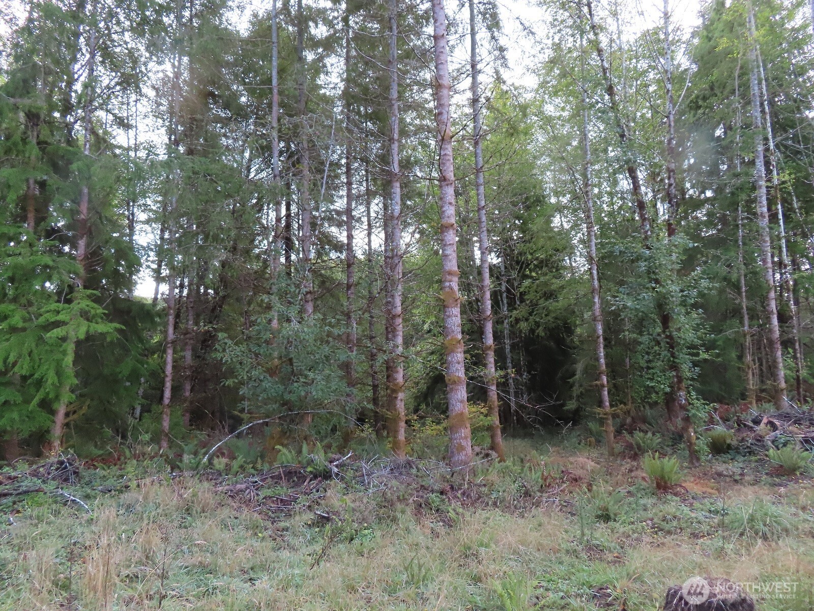 0 State Route 101 South Bend WA 98596