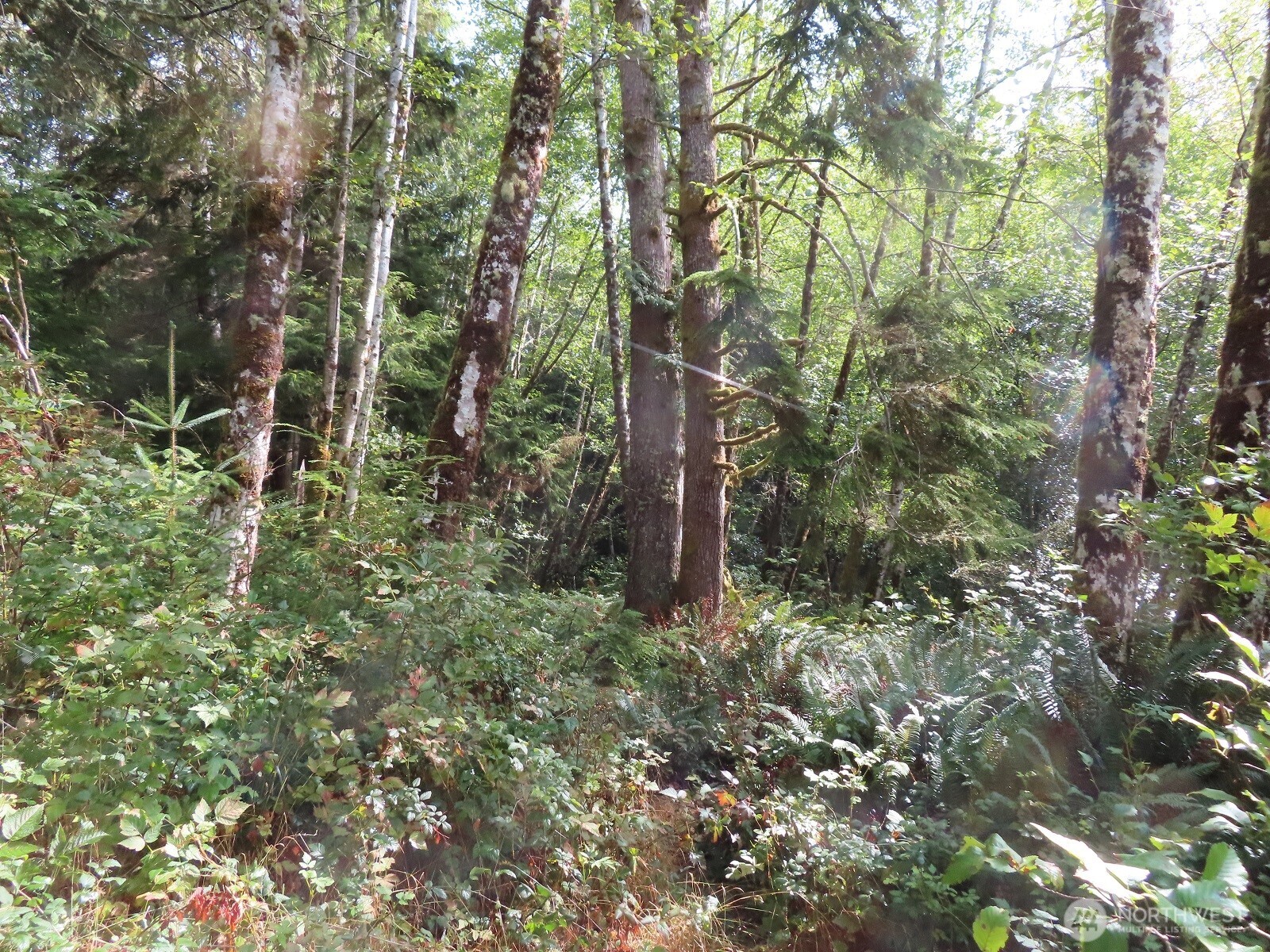 0 State Route 101 South Bend WA 98596