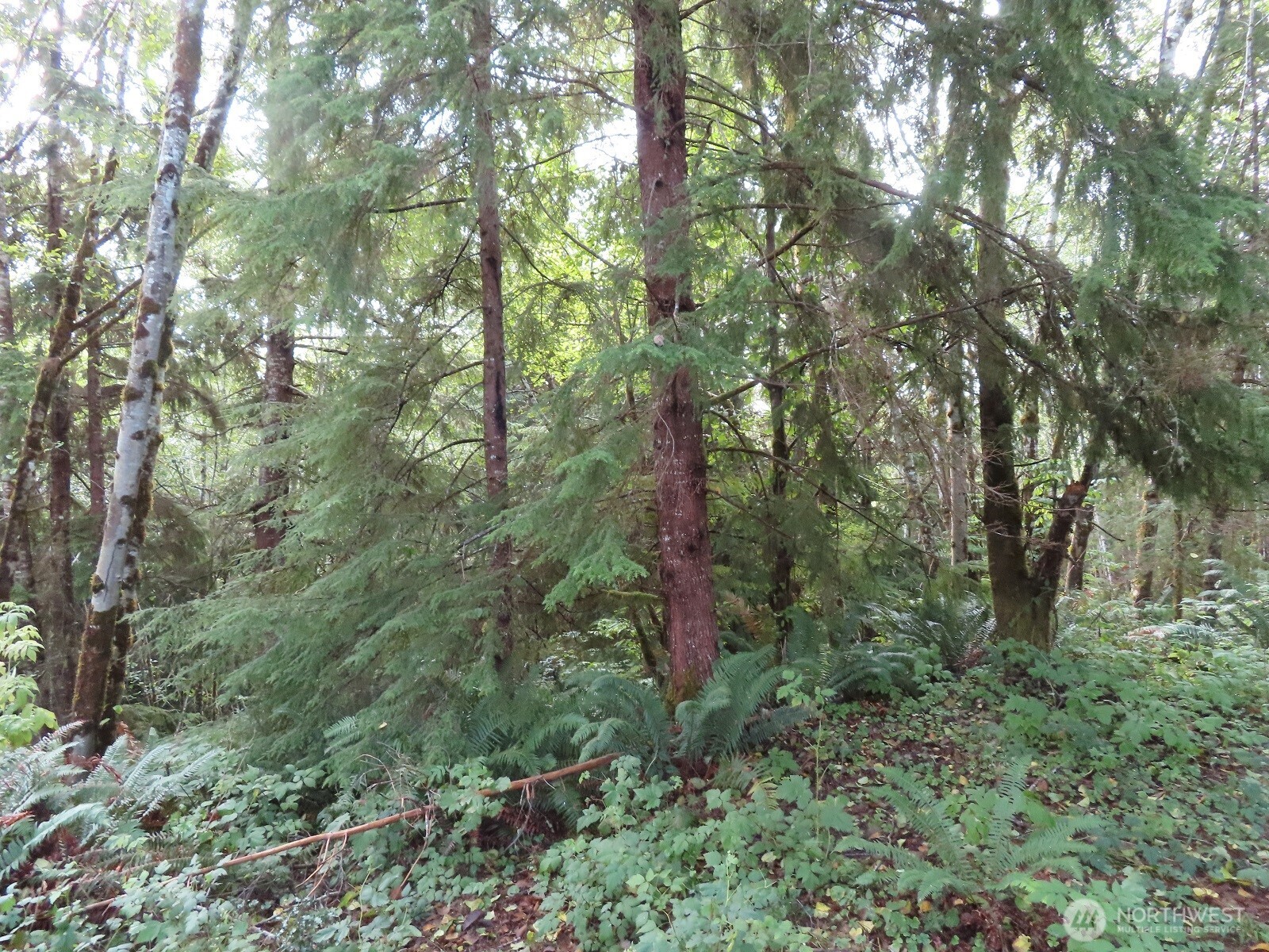 0 State Route 101 South Bend WA 98596