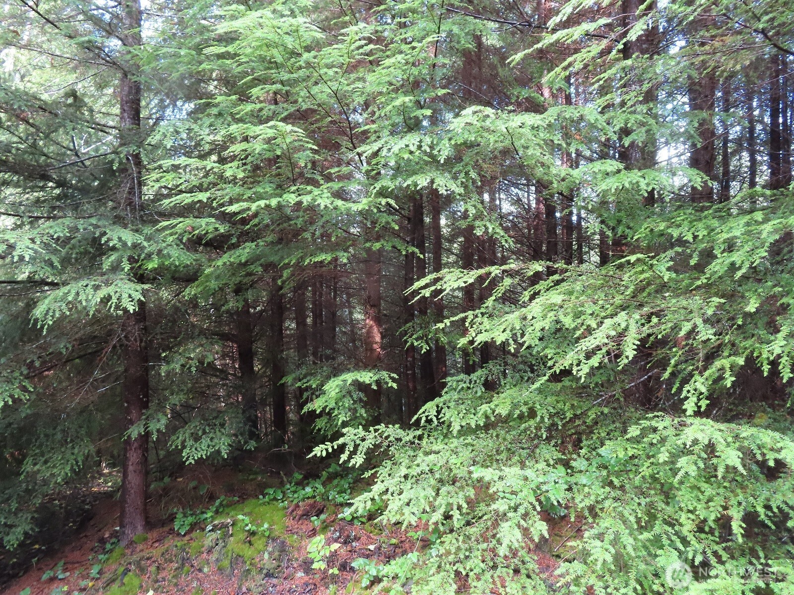 0 State Route 101 South Bend WA 98596