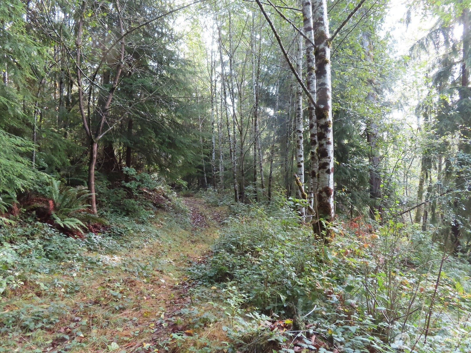 0 State Route 101 South Bend WA 98596