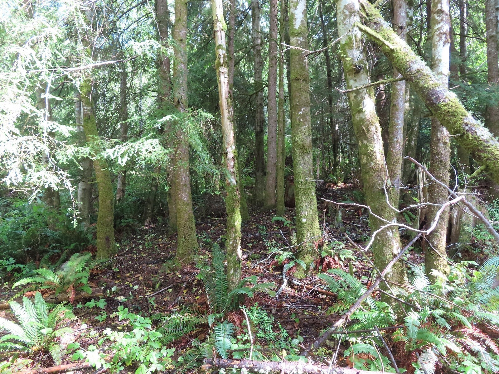0 State Route 101 South Bend WA 98596