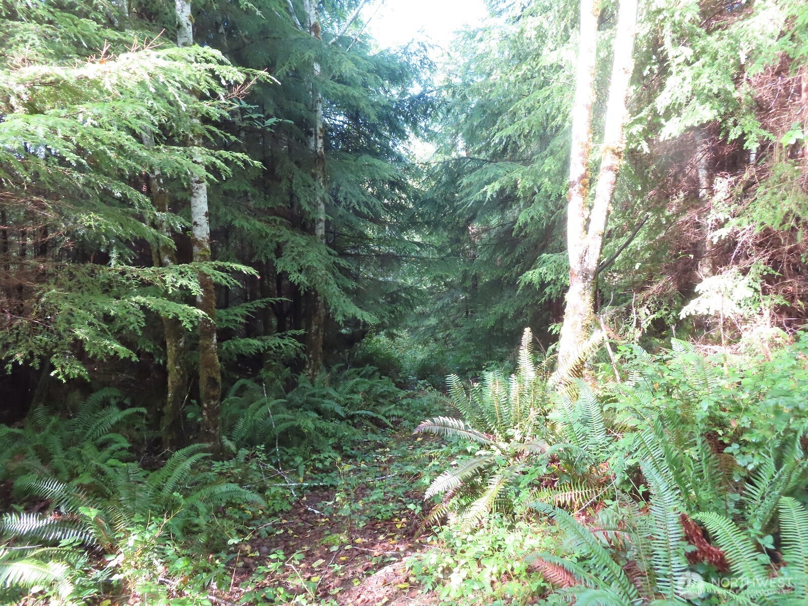 0 State Route 101 South Bend WA 98596