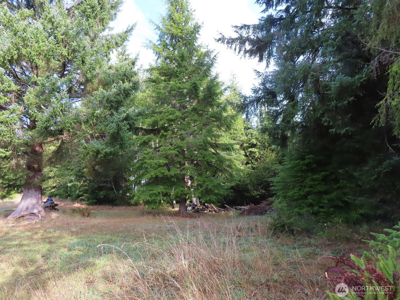 0 State Route 101 South Bend WA 98596