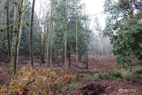 18700 SE 64th Way Issaquah WA 98027