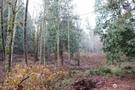 18700 SE 64th Way Issaquah WA 98027