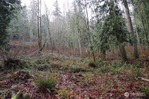 18700 SE 64th Way Issaquah WA 98027