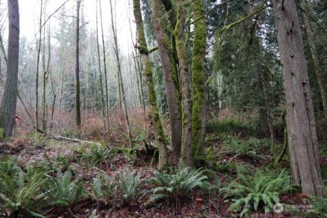 18700 SE 64th Way Issaquah WA 98027