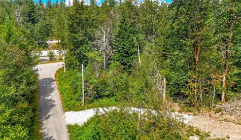 1110 350th Avenue SE Snoqualmie WA 98065