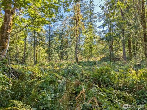 1110 350th Avenue SE Snoqualmie WA 98065