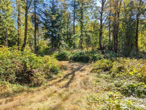 1110 350th Avenue SE Snoqualmie WA 98065