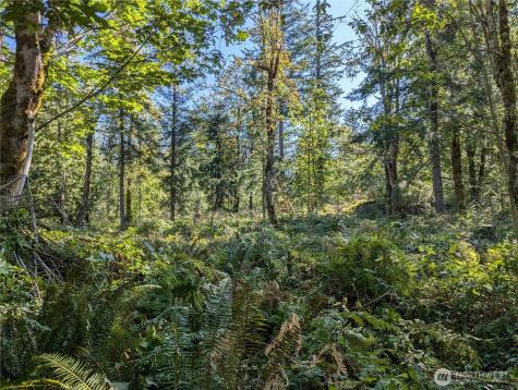 1110 350th Avenue SE Snoqualmie WA 98065