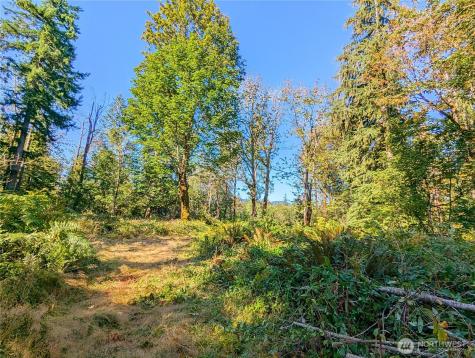 1110 350th Avenue SE Snoqualmie WA 98065