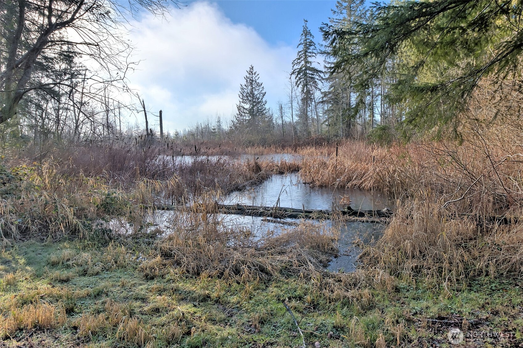 660 SE Cook Plant Farm Road Shelton WA 98584