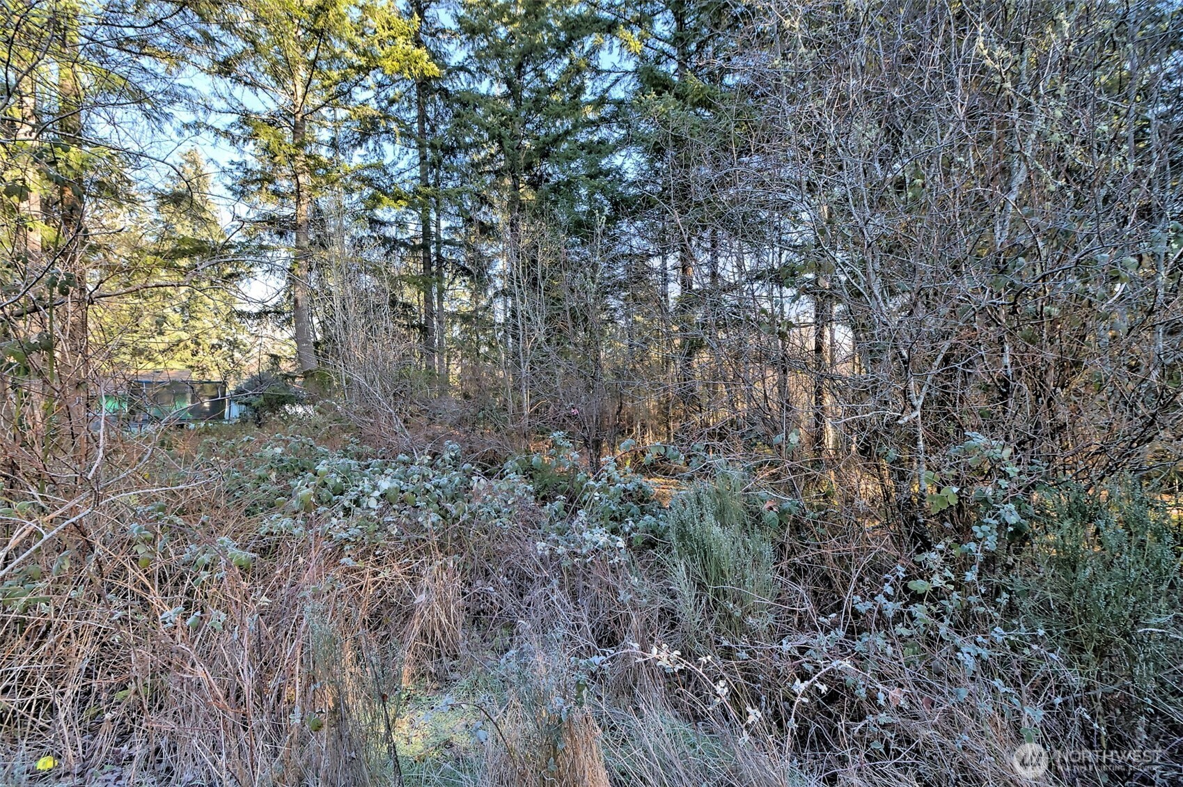 660 SE Cook Plant Farm Road Shelton WA 98584
