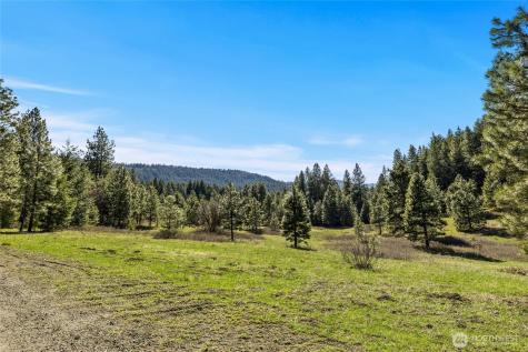 32 Thornton Creek Lane Cle Elum WA 98922