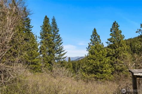 32 Thornton Creek Lane Cle Elum WA 98922