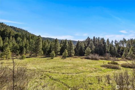 32 Thornton Creek Lane Cle Elum WA 98922
