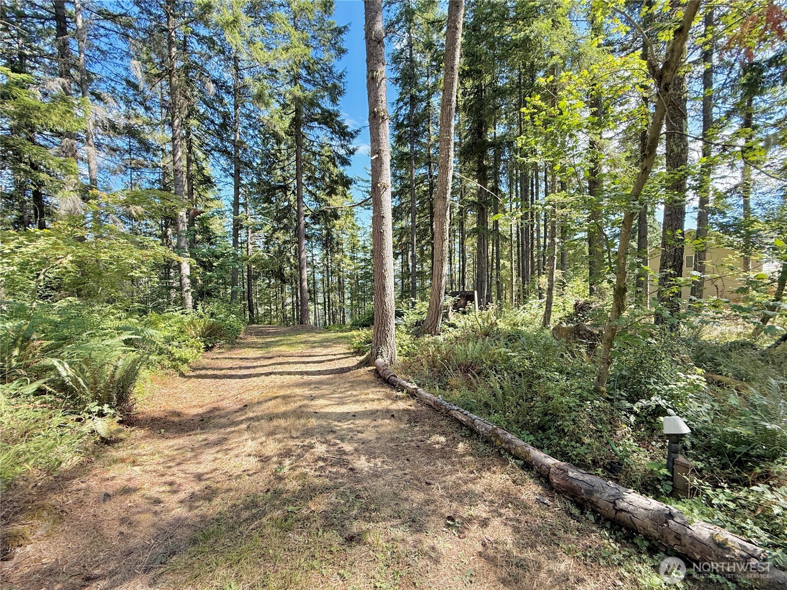 49923 146th Avenue E Eatonville WA 98328