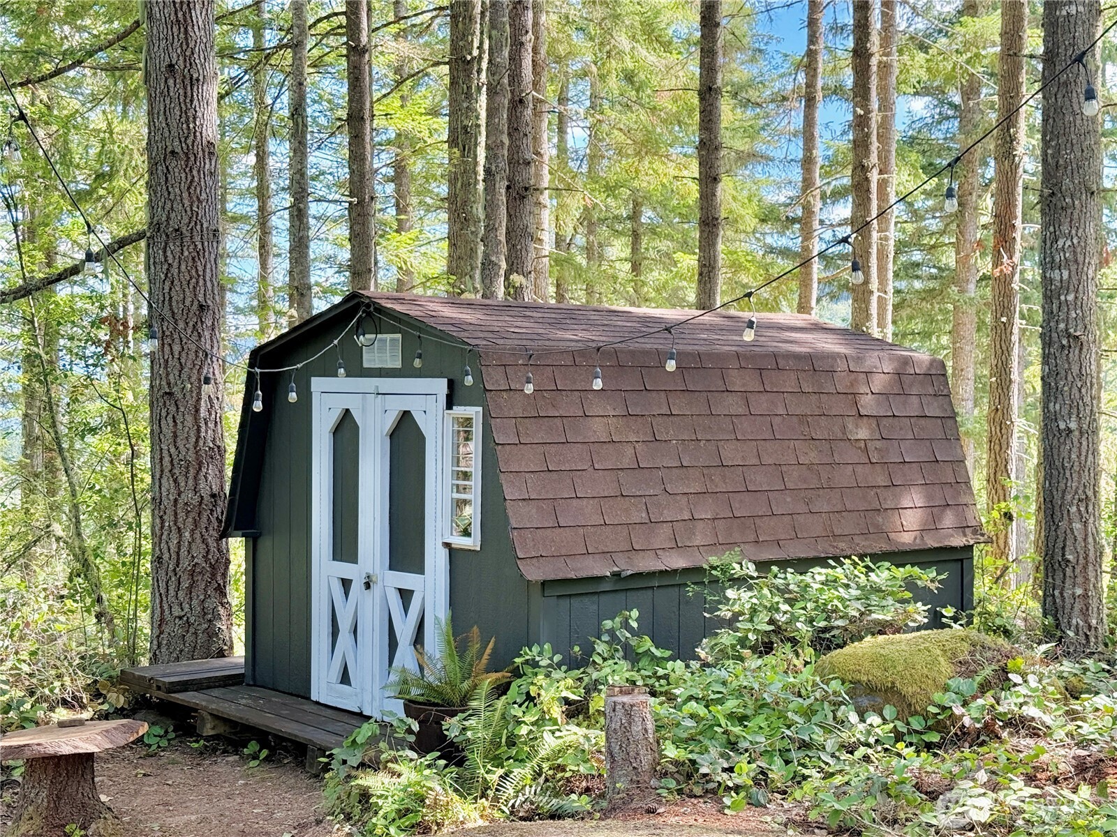 49923 146th Avenue E Eatonville WA 98328